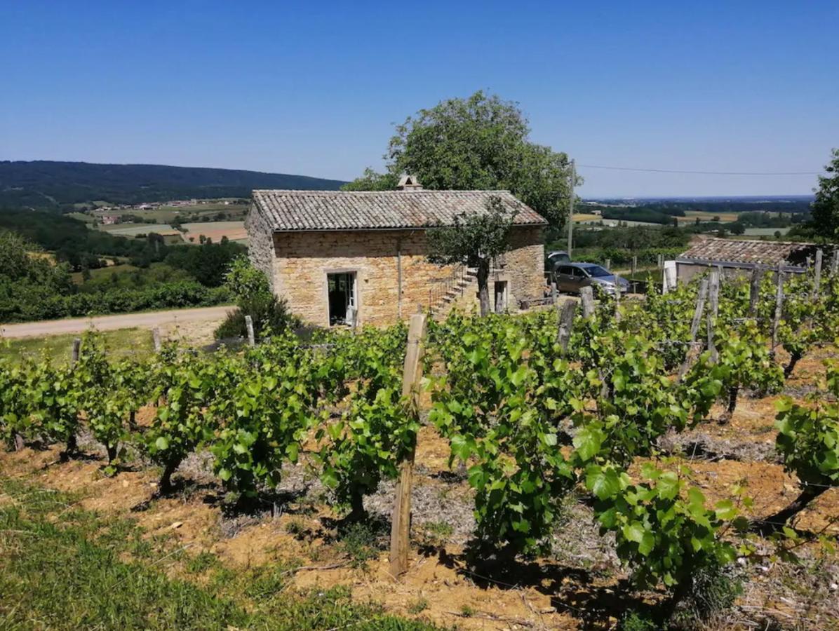 Une Maison De Campagne En Bourgogne Du Sud Tournus Eksteriør billede