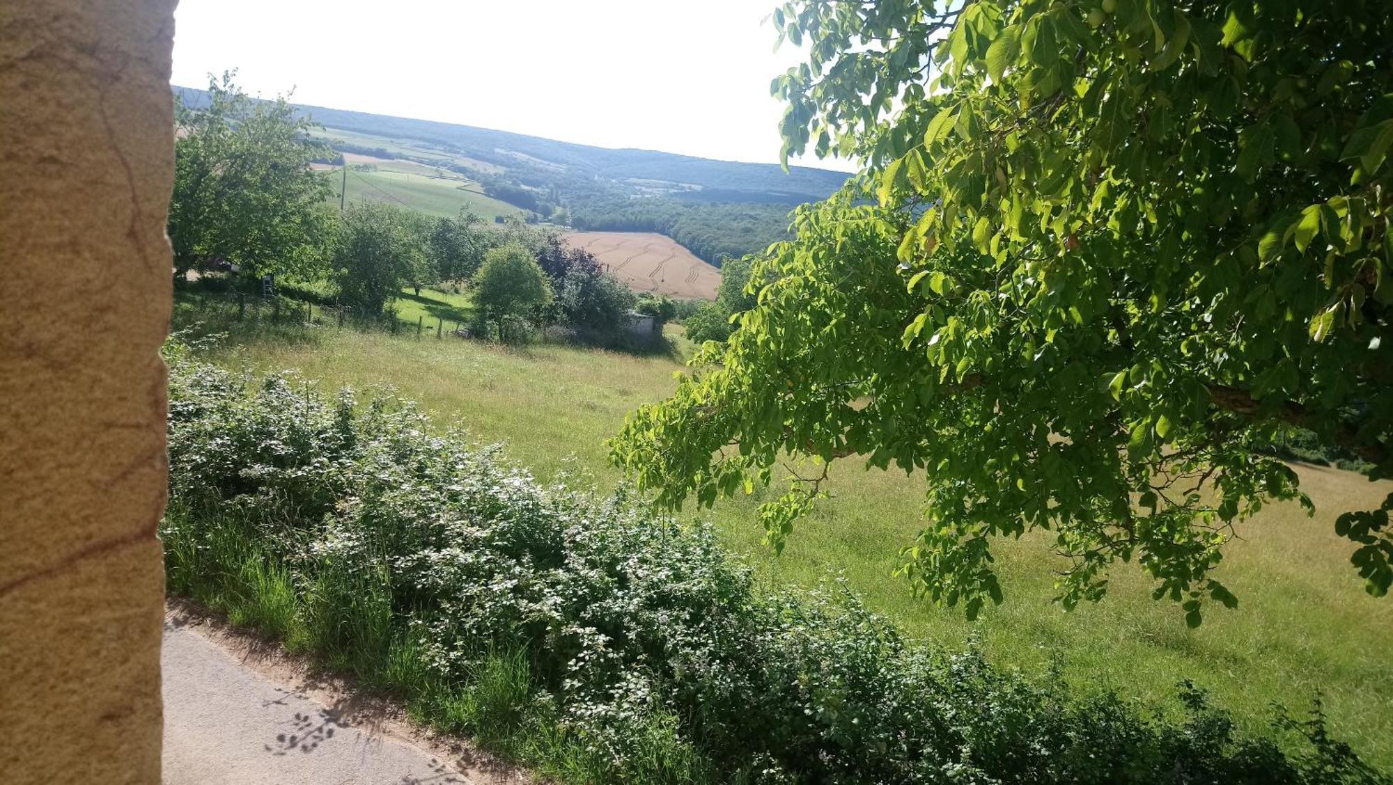 Une Maison De Campagne En Bourgogne Du Sud Tournus Eksteriør billede